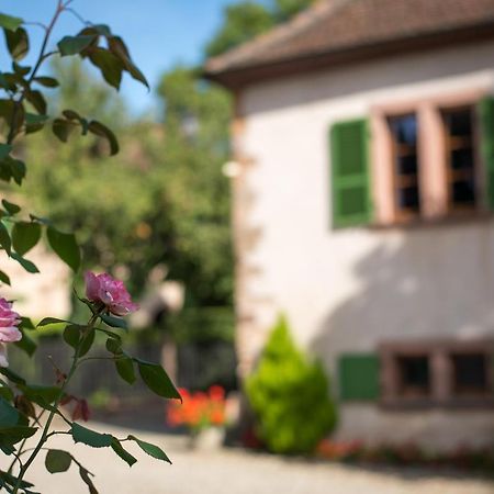 Gite **** Le Meyerhof Rorschwihr Bagian luar foto