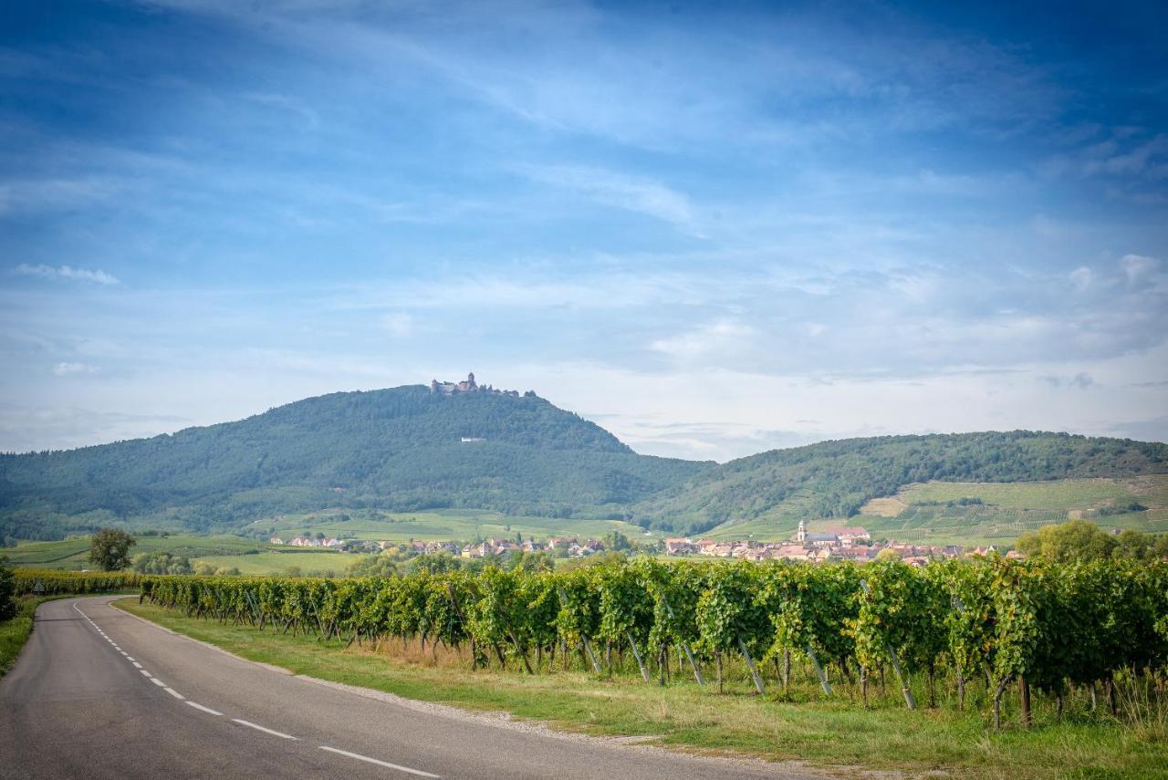 Gite **** Le Meyerhof Rorschwihr Bagian luar foto